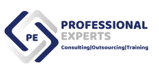 Professional Experts